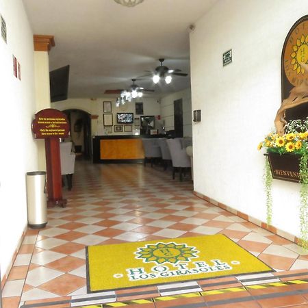 Hotel Los Girasoles Tepic Exteriér fotografie