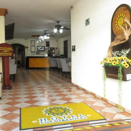 Hotel Los Girasoles Tepic Exteriér fotografie